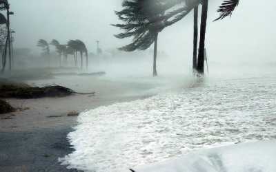 image for Hurricane Laura and Your Pets